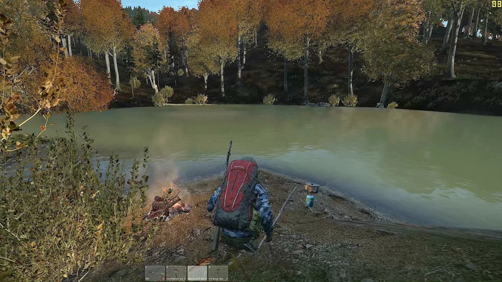 Рыбалка дейз. Рыбы в дейзи. Шкода эстель из дейз. Dayz рыбалка. Рыбалка дейз.