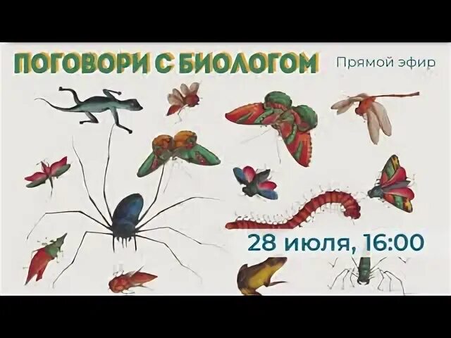 Вопрос биологу