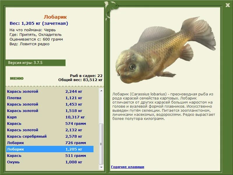 Более полутора страниц. Более полутора страниц. Полтораста рублей просклонять по падежам. Склонение числительных полтораста. Склонение тонна.