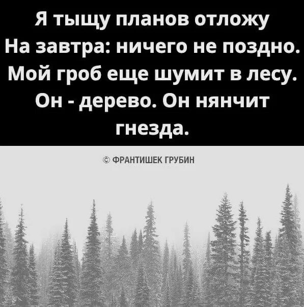 Я тысячу слов готов. Мой гроб ещё шумит в лесу он дерево он нянчит. Мой гроб еще шумит в лесу. Я тыщу планов отложу. Он нянчит гнезда.