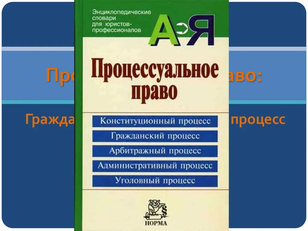 Процессуальное право обществознание