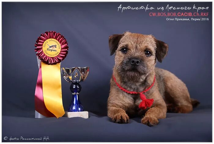 Bob bos. Jeremy louis. Jeremy louis модель слив. Bob bos. Bob bos.