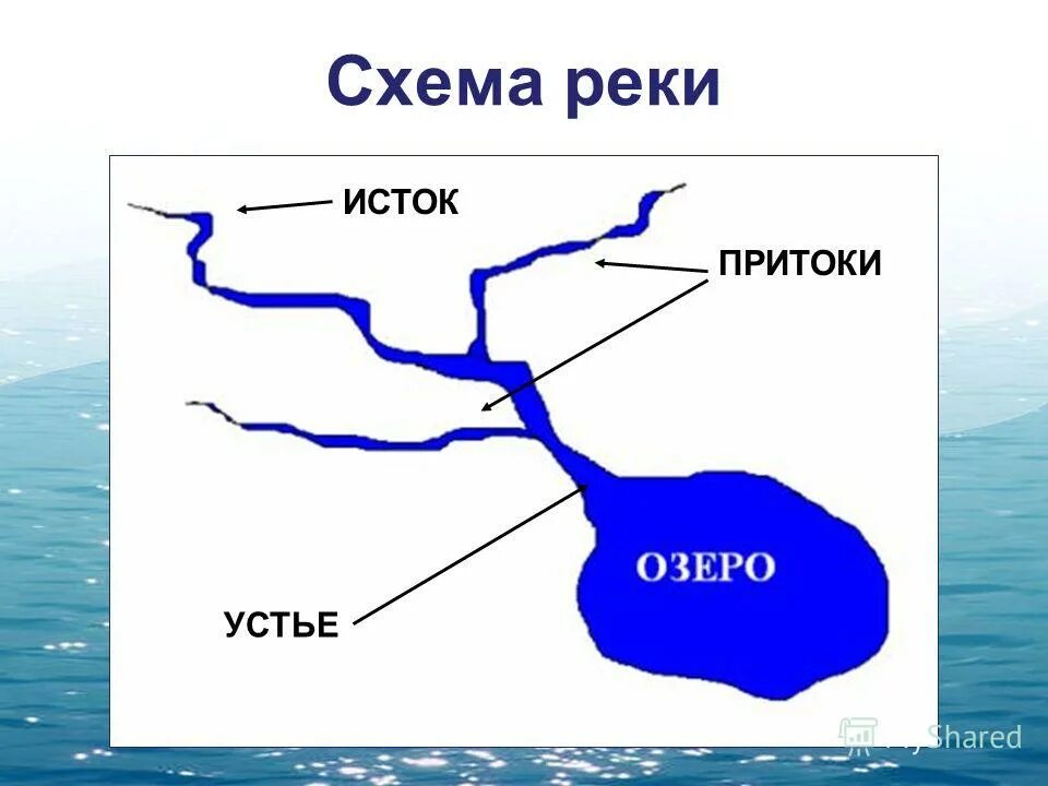 Изобрази схему реки которая протекает в твоей