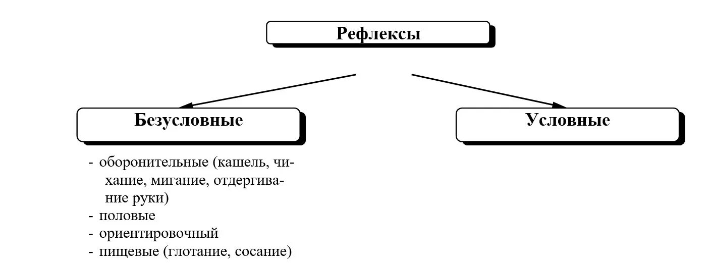 Условный это. Рефлексы условные и безусловные схема. Виды рефлексов схема. Условный и безусловный рефлекс кроссворд. Условные и безусловные принципы кредитования.