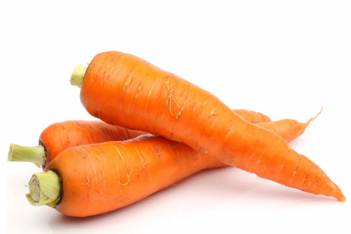 Морковь одна. Морковь на белом фоне. Израильская морковь. Желтая морковь. Морковь на белом фоне.