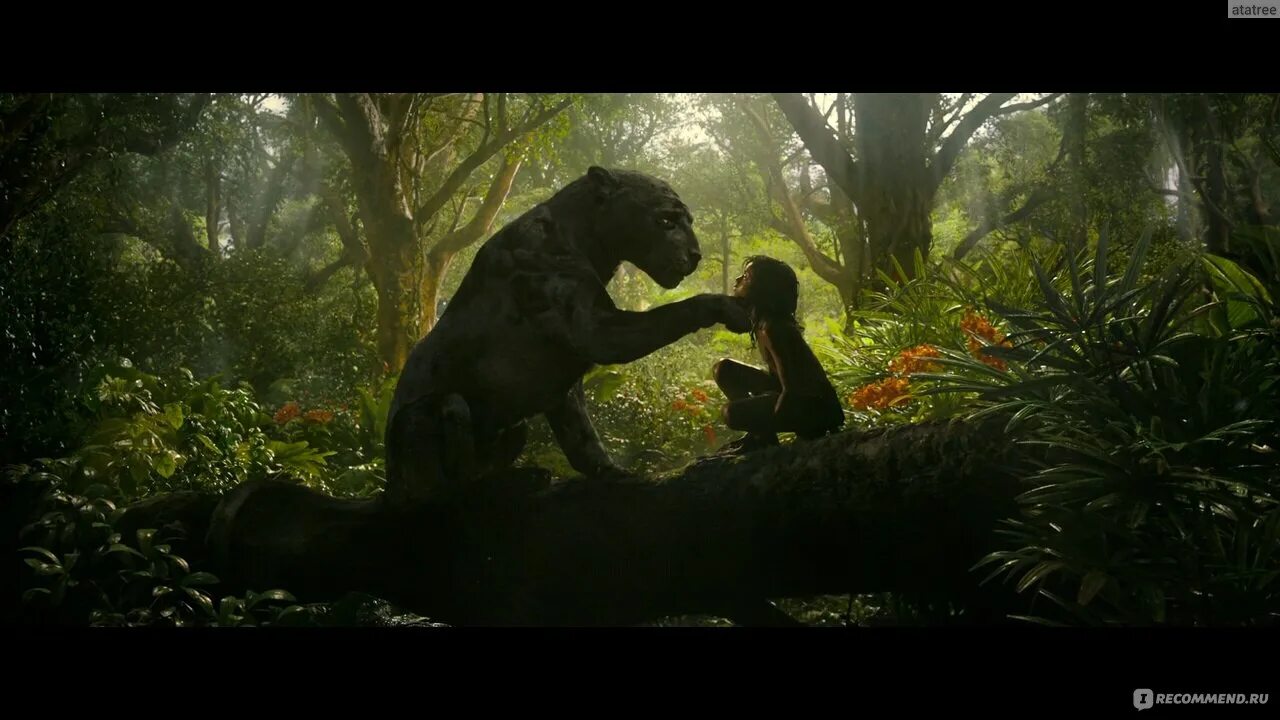 Маугли mowgli 2018. Джунгли маугли 2018. Легенда джунглей 2018. Джунгли маугли 2018. Маугли легенда джунглей 2018.