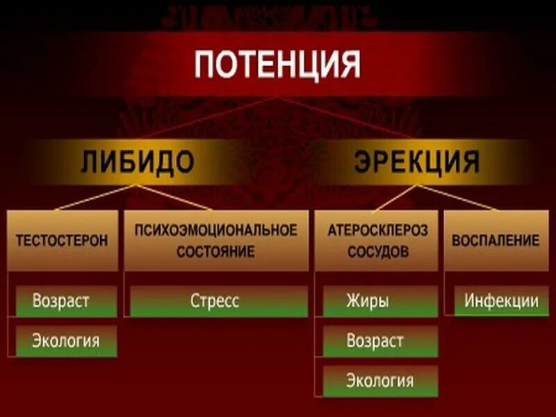 Либидо бывает. Либидо. высокое либидо. от чего зависит потенция. типы либидо у мужчин.