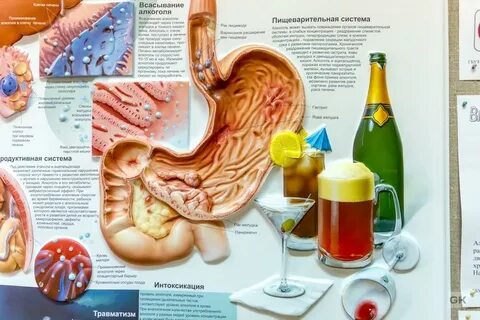 Женские пью органы