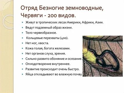 Как ходить безногому