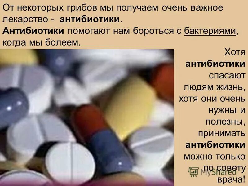 Какие лекарства из грибов. Антибиотики препараты. Грибы используемые в медицине. Антибиотики, полученные из грибов:. Применяется для получения антибиотиков.