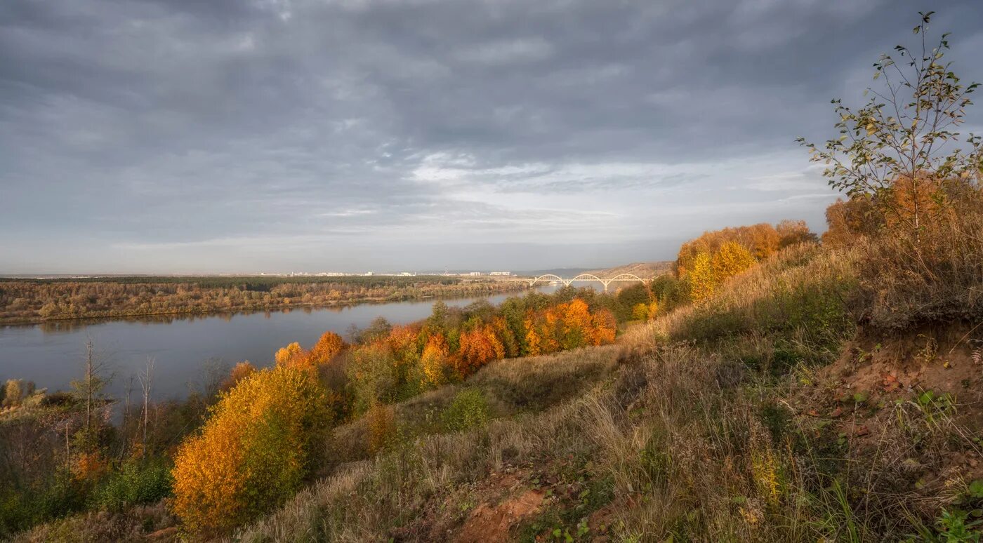 Сартаково Нижний Новгород. Берег Оки, Сартаково. Посёлок Окский Нижегородская область. Окские пейзажи.