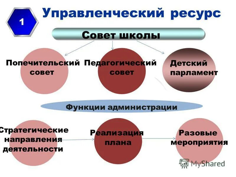 Функции учр. Специализированные функции. Функции системы управления человеческими ресурсами. Функции службы управления человеческими ресурсами. Менеджмент ресурсов функции.