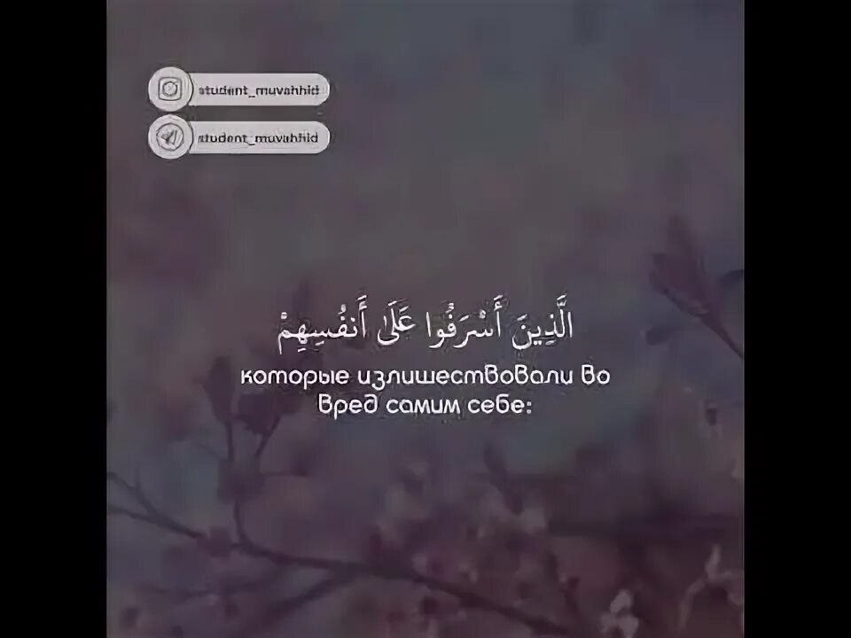 Сура зумар 53. Зумар 53 аят. Зумар сура аят 53 54. Зумар 53 аят. Аят из суры зумар 53 аят.