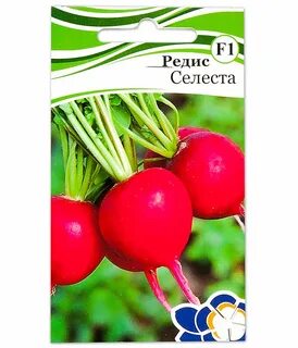 Редис селеста описание