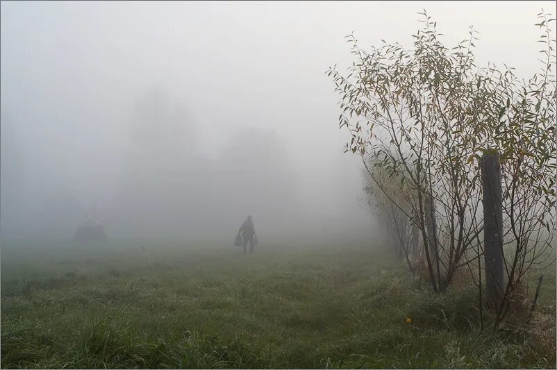 Там травою поднялся туман песня слушать. Туман ТУМАНИЩЕ. Туманы растуманы. Туман ТУМАНИЩЕ над миром. Туман стелется.