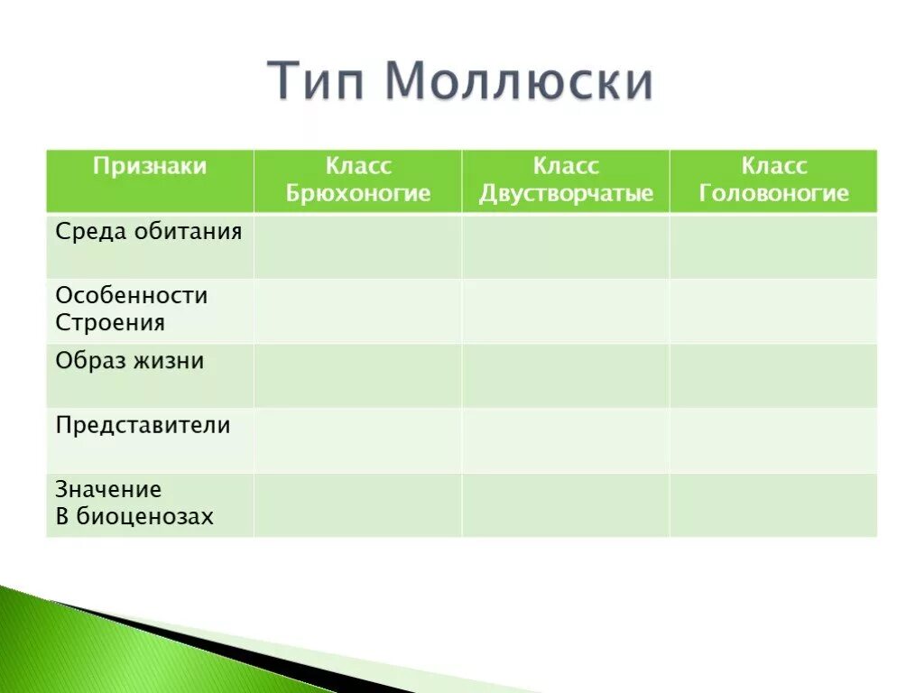 Среда обитания головоногих. Признаки класса брюхоногие. Класс двустворчатые моллюски среда обитания. Брюхоногие моллюски среда обитания. Брюхоногие двустворчатые головоногие таблица