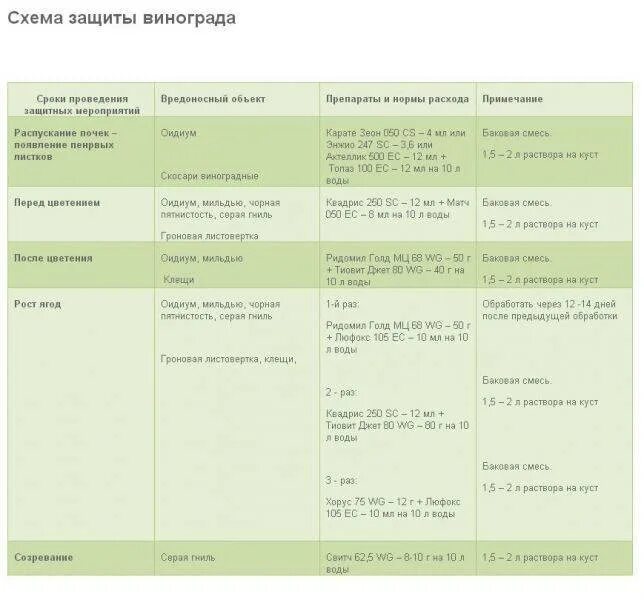 Чем обрабатывать виноград весной от вредителей. Схема обработок винограда от. Таблица обработки винограда от болезней и вредителей. Схема обработки и подкормки винограда. Схема обработки винограда баковые смеси.