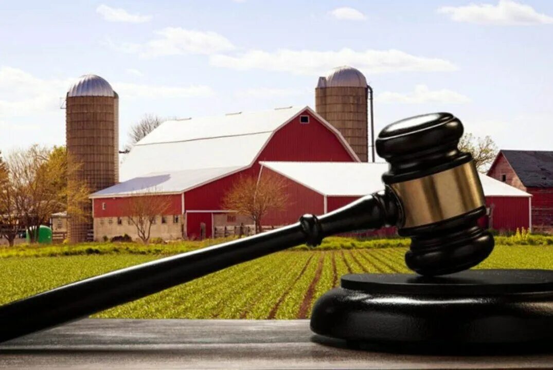 Практика по земельным спорам. Сельскохозяйственное право. Аграрное сельскохозяйственное право. Земельное право. Аграрное право законодательство.