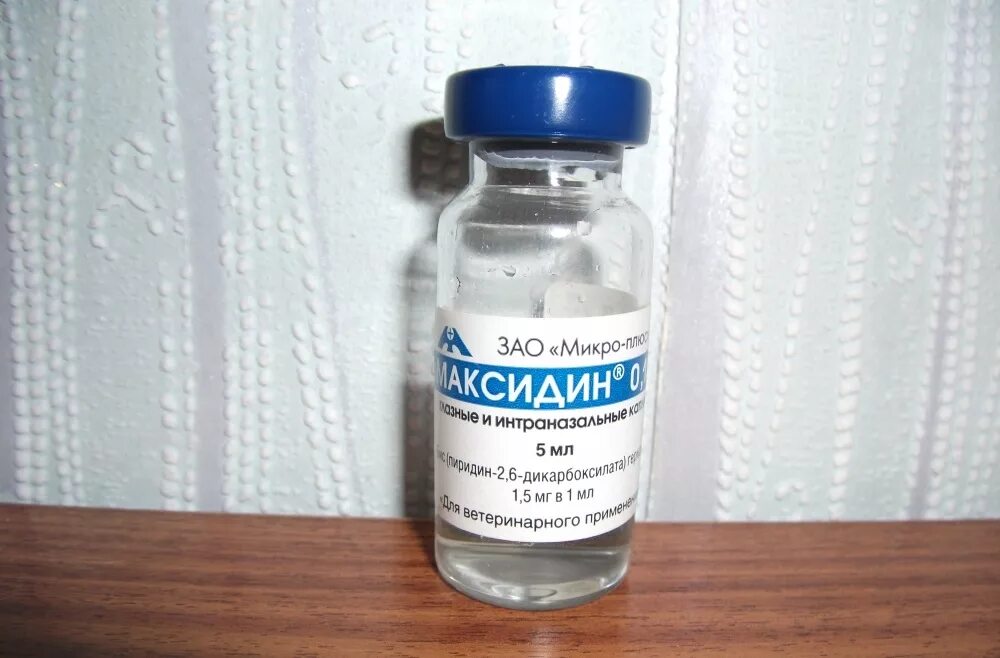 Максидин в нос. Максидин капли для кошек. капли назальные максидин. капли в нос ветеринарные. максидин капли в нос.