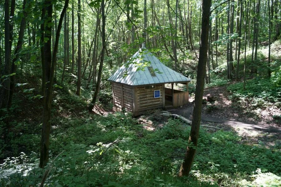 12 родников