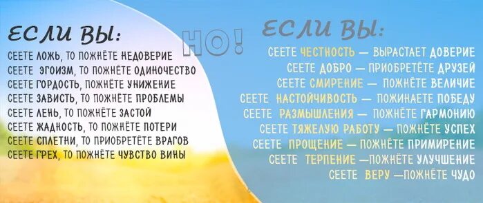 Что посеешь то и пожнешь объяснить смысл. Притча что посеешь то и пожнешь. что посеешь то и пожнешь цитаты. что посадишь то и пожнешь. что посеешь то и пожнешь евангелие.