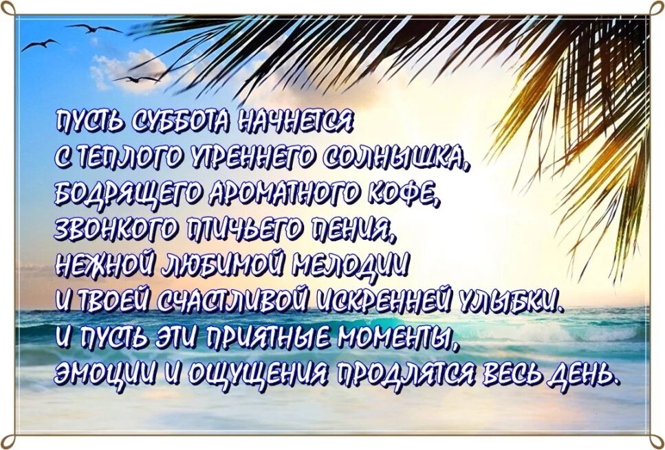 Доброе утро субботы юмор. Пожелания с добрым субботним утром прикольные. Смешные пожелания доброго утра субботы. Открытки с добрым субботним утром. Пожелания с добрым утром прикольные.
