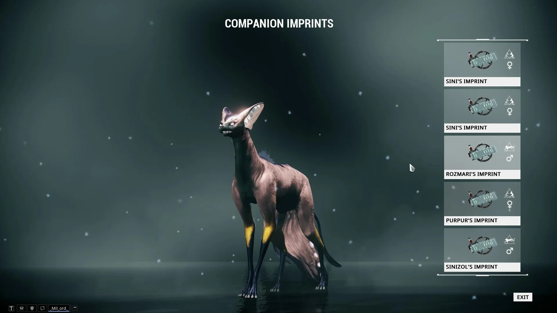 Кубрау warframe. Хурас кубрау. warframe кубрау. warframe собака.