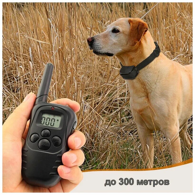 Электронный ошейник Petrainer pet998dbl. Электронный ошейник для собак Dog Training Collar. Электронный ошейник для дрессировки собак Dog Training Collar t166. Электроошейник для собак с пультом антилай. Купить электронный ошейник для дрессировки