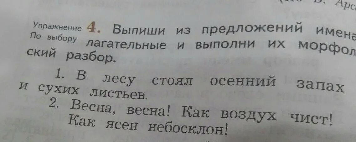 Выпиши из предложения прилагательные. Морфологический разбор прилагательного. Выпиши из предложения прилагательное. Осенний морфологический разбор. Разбор прилагательного осеннего.