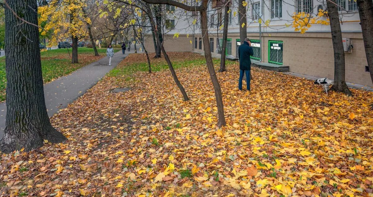 События осени москва. Москва окраины осенью. Московское осеннее утро. Москва утро осень. Золотая осень Москва 2023.