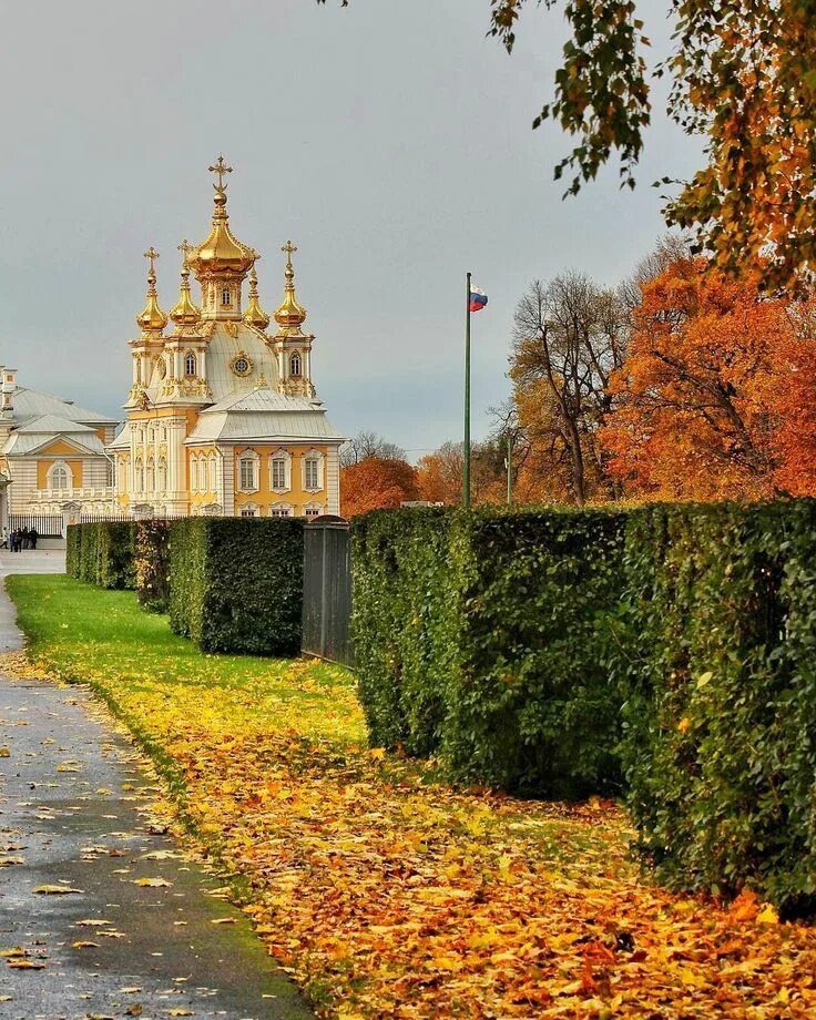 И снова Золотая Осень в Петергофе!