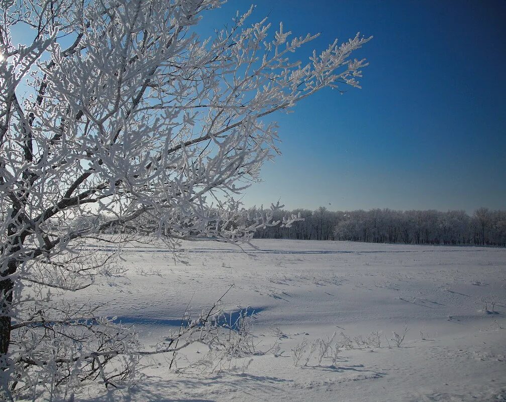 Зима лютая стужа. Ст уда. Стужа. Зимняя стужа фото. Стужа картинки.