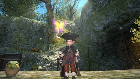 Xiv 3