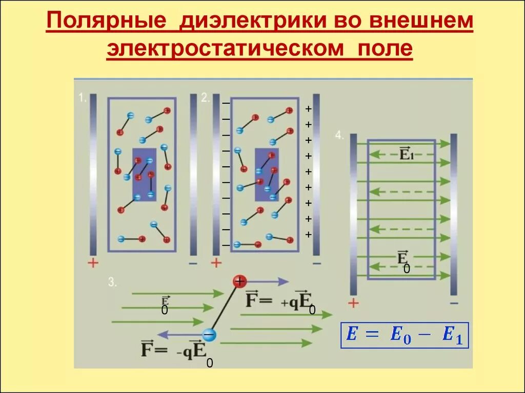 Проводники в электростатическом поле физика. Проводники и диэлектрики в электрическом поле. Проводники и диэлектрики в электростатическом поле. Полярные диэлектрики в электростатическом поле. Проводники в электрическом поле диэлектрики в электрическом поле.