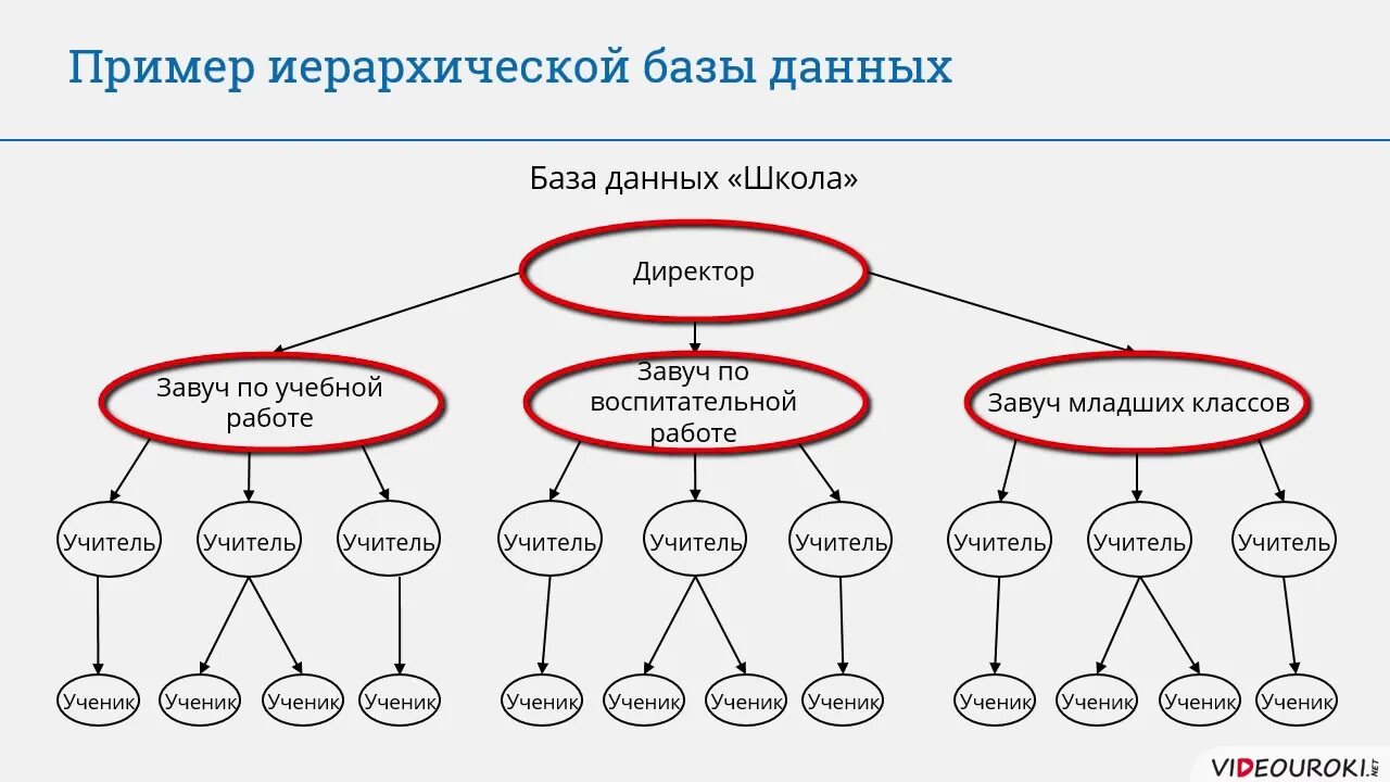 Иерархическая структура сетевые структуры реляционные структуры. База данных модель предметной области 9 класс. иерархическая база данных школа. иерархическая база данных схема. база данных примеры иерархии.