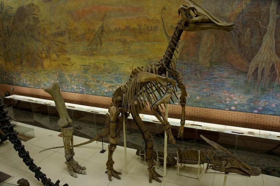 музей динозавров в москве 2023. палеонтологический музей динозавры. музей динозавров в москве 2023. палеонтологический музей. московский музей динозавров.