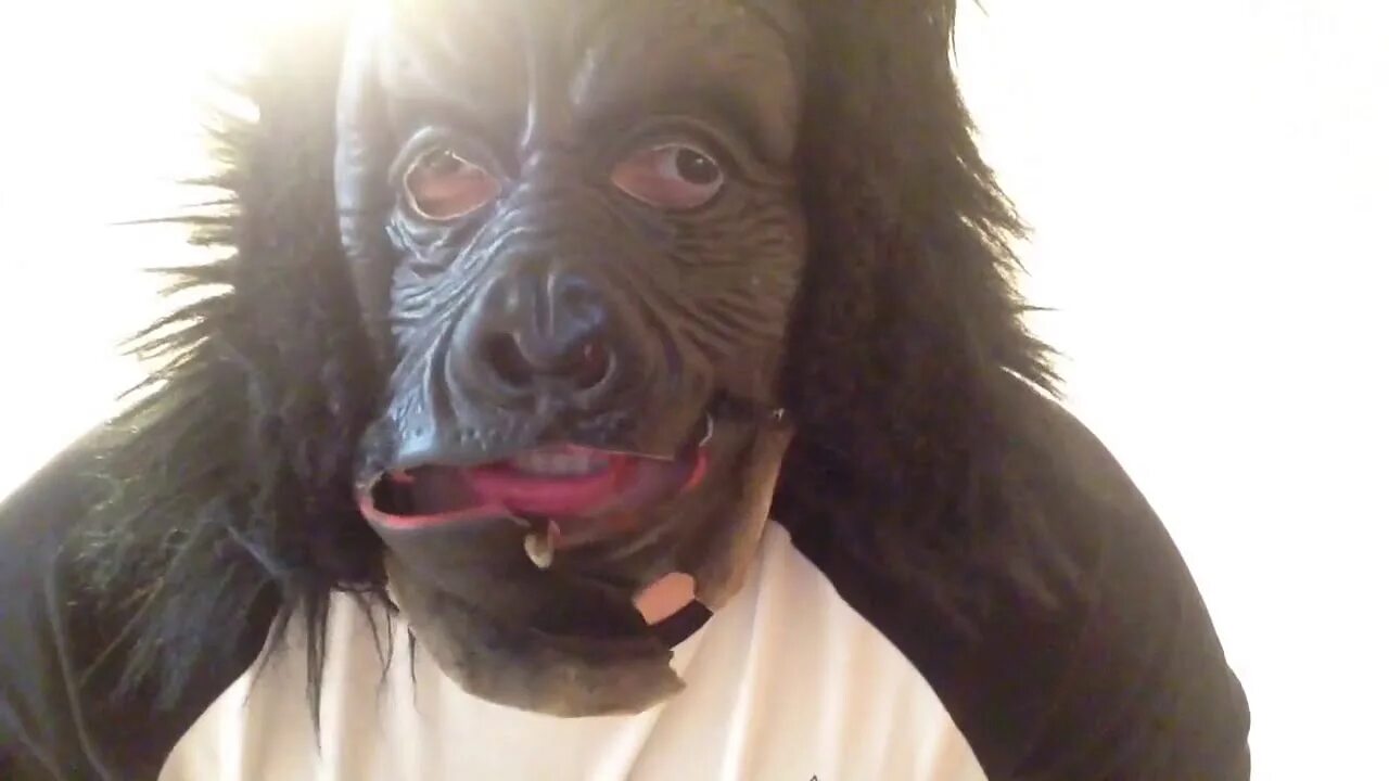 Первое видео паши техника. Глаза Паши техника.