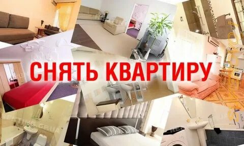 Как правильно сдать квартиру без посредников
