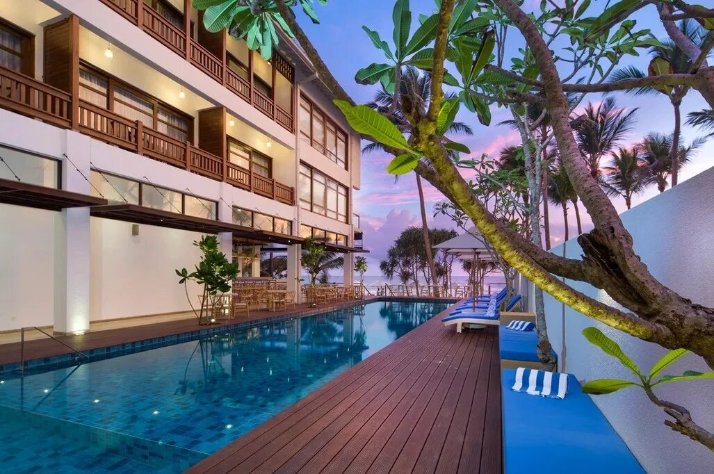 Лучшие отели хиккадува шри. Lucky elephant hotel шри ланка. отель happy elephant хиккадува. the lucky elephant 4 **** (хиккадува). lucky elephant 5*.