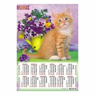 Кот года 2021