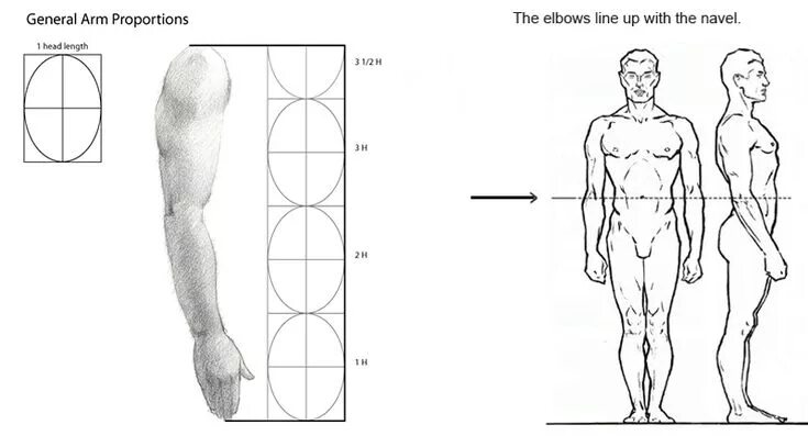 Get things out of proportion. Human body proportions. human head proportions. head proportions sculpture. head proportions sculpting.