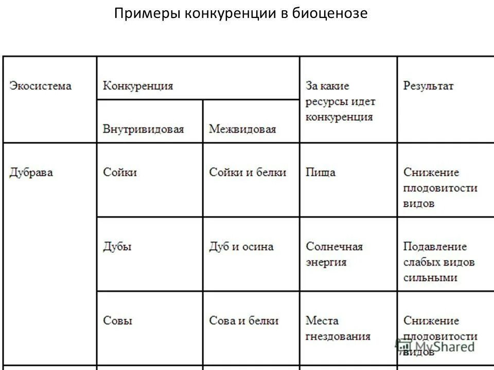 Вид взаимоотношений конкуренция примеры. Тип взаимоотношения конкуренция примеры. Примеры конкуренции в биологии. Примеры конкурентного взаимодействия. Лабораторная работа изучение искусственных сообществ