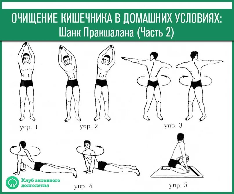 Система очищения кишечника. Йога Шанк Пракшалана. Пракшалана упражнения. Шанк Пракшалана упражнения. Упражнения шлангпрокшалана.