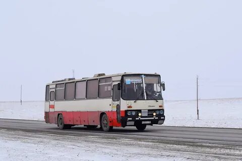 Автобус барнаул алтай