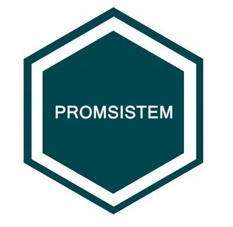 Компания производственные системы