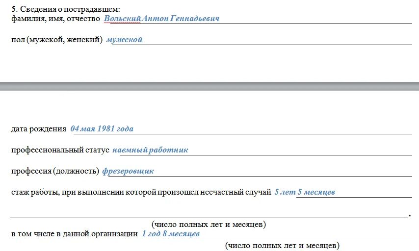 Акт н1 коды. Статус занятости в акте н-1. что такое статус занятости в акте о несчастном случае на производстве.