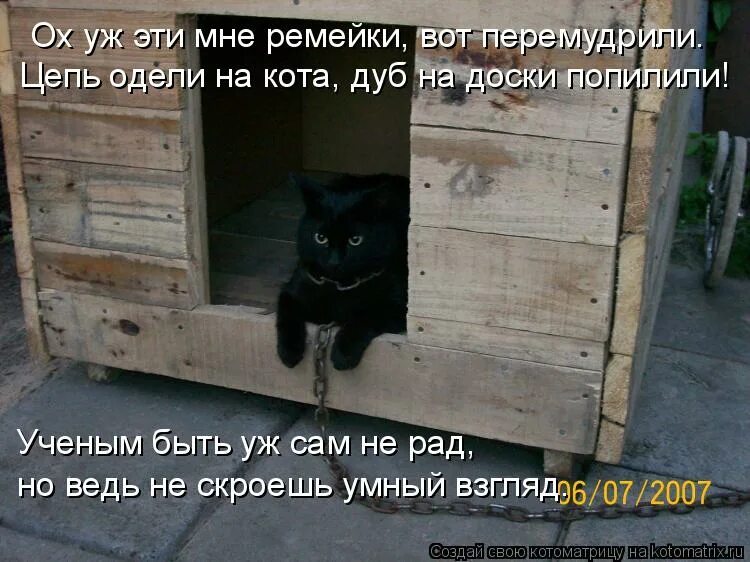 Первые шаги ребенка. Малыш ходит. Сама ходи. Трюки на костылях. Собака несет кота в зубах.