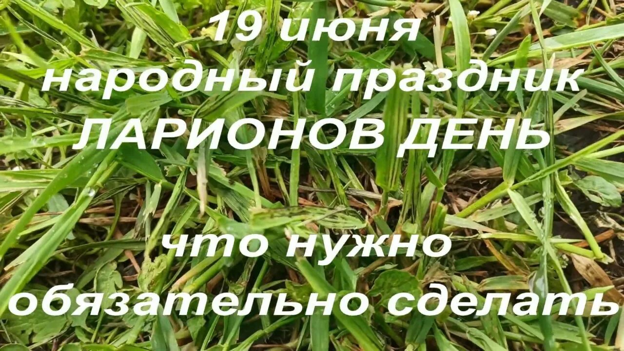 что будет 19 июня. день неспешной прогулки. праздники в июне. какой сегодня праздник. что будет 19 июня.