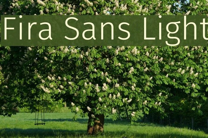 Sans light шрифт. Fira Sans шрифт. Fira Sans Light дизайн. Шрифт Fira Sans русский. Fira Sans book.