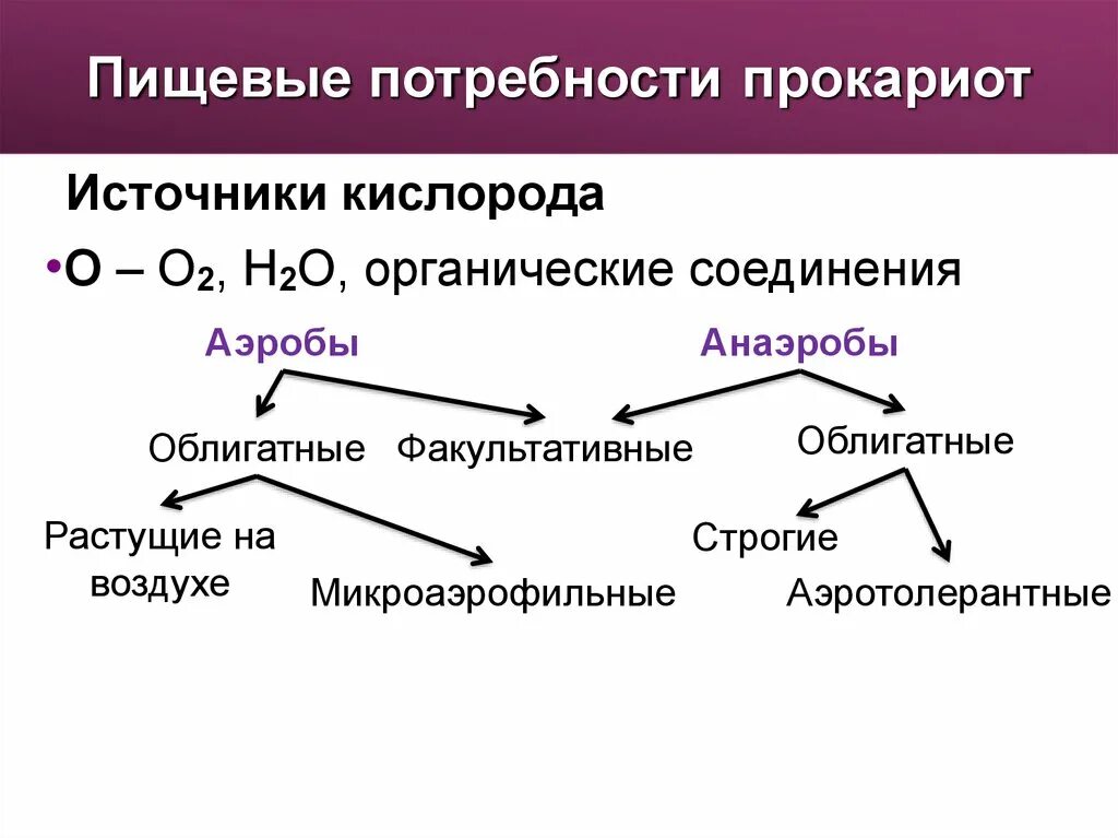 Обмен веществ прокариот. Схема метаболизма бактерий. Факультативные аэробы и анаэробы. Для процессов диссимиляции у эукариот характерны. Особенности обмена веществ у прокариот.